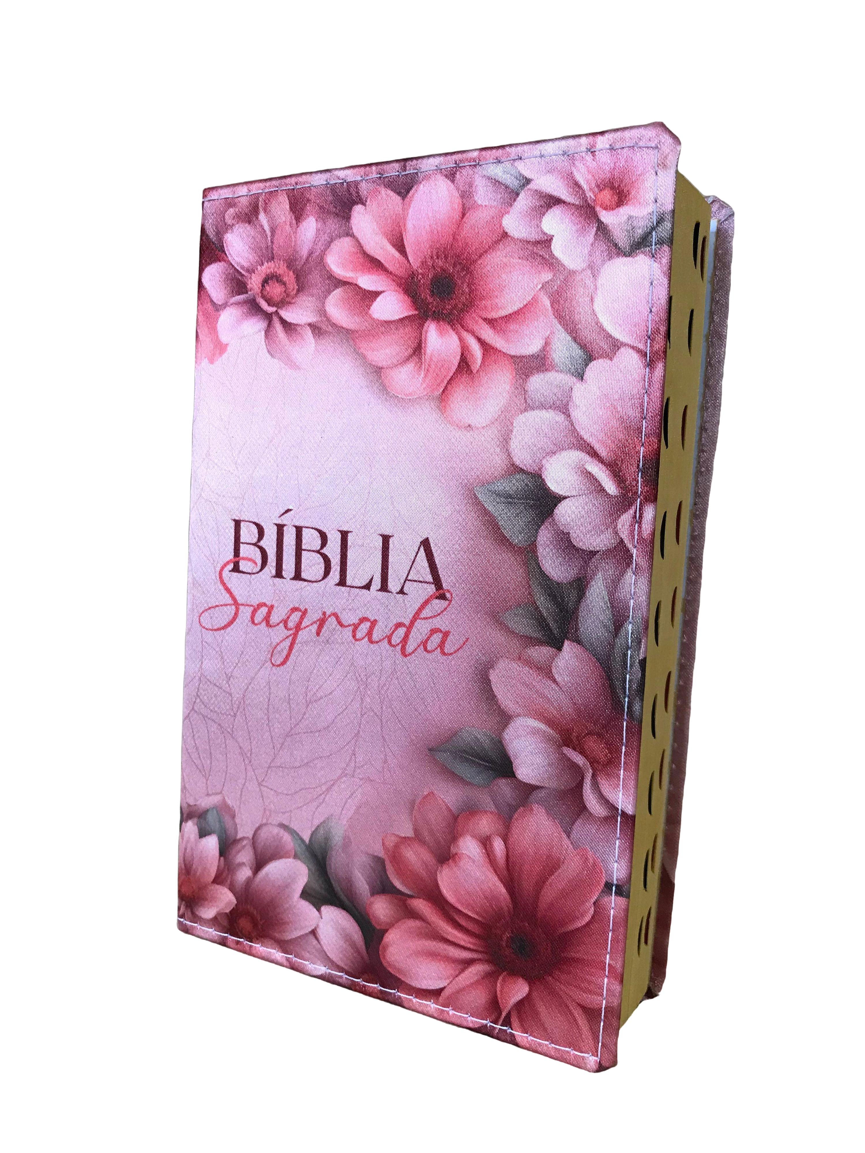 Biblia Mar de Rosas