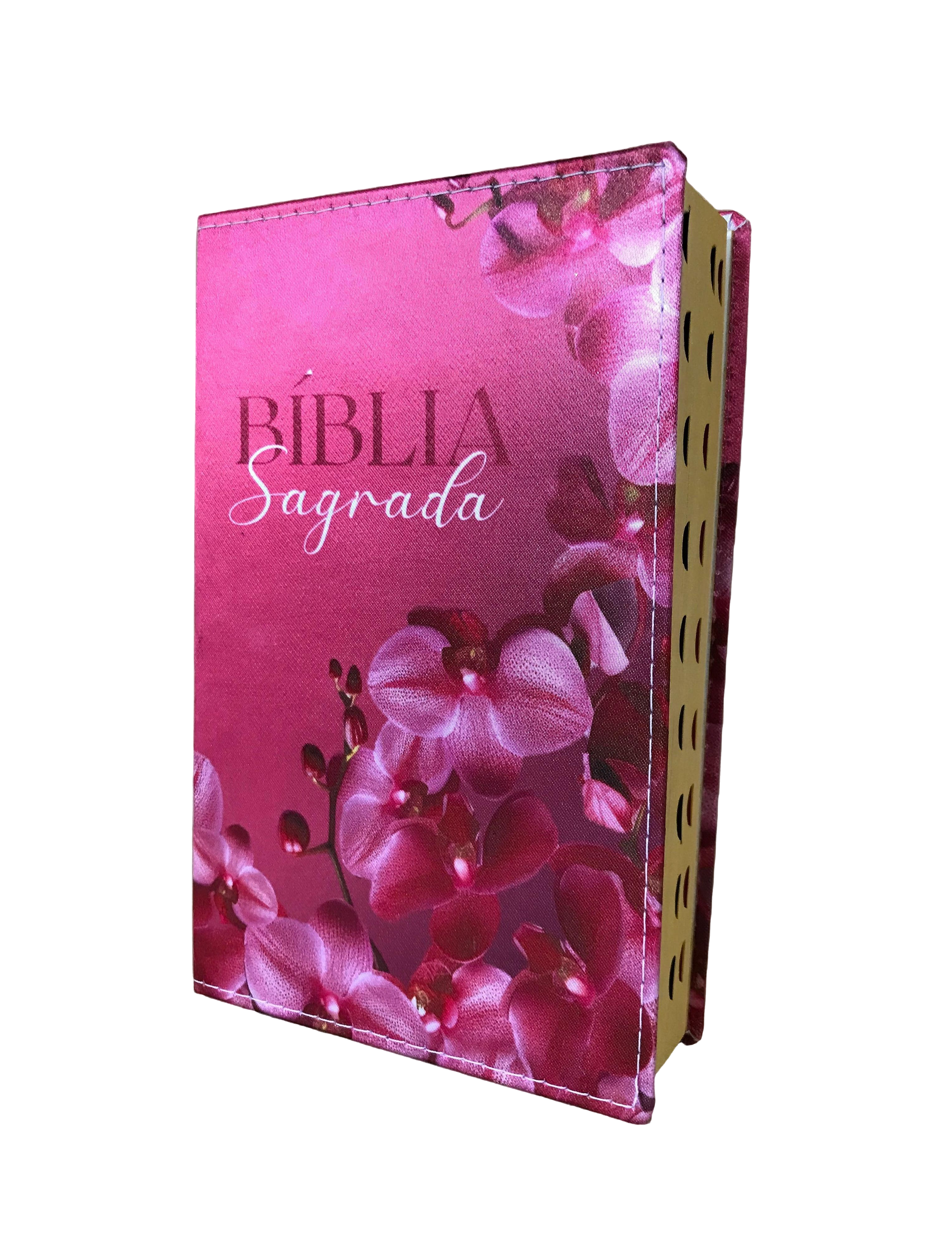 Biblia Mar de Cerejeira